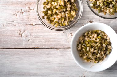 Cam ve seramik kaseler germinated fasulye