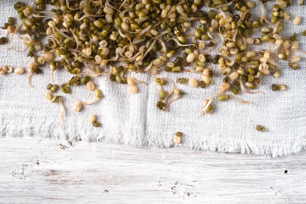 Habas germinadas en una servilleta encima —  Fotos de Stock