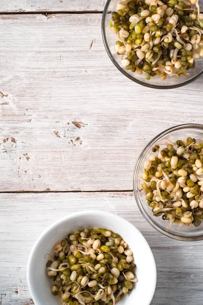 Germinated beans in glass and ceramic bowls on the right — Stock Photo, Image