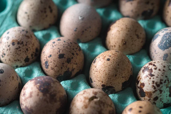 Ovos de codorna no recipiente pano-up — Fotografia de Stock