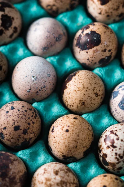 Jaja przepiórcze w kontenerze pionowe — Zdjęcie stockowe