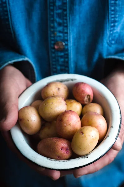 Mains avec des pommes de terre crues dans le bol en métal — Photo