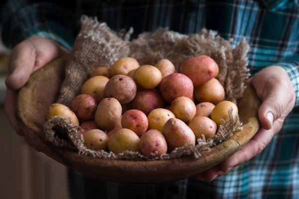 Patate rosse e bianche in una ciotola in mani di uomo — Foto Stock