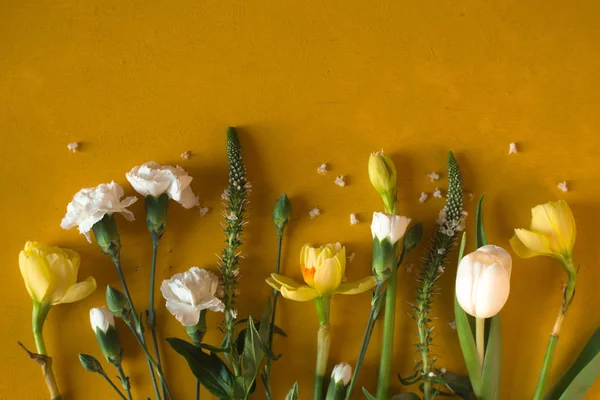 Flores de primavera no fundo amarelo escuro vista superior — Fotografia de Stock