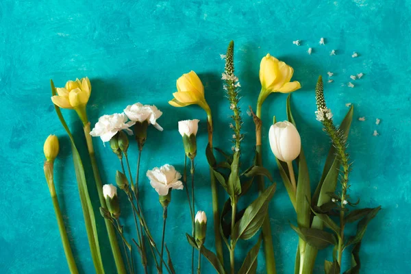 Flores de primavera no fundo ciano vista superior — Fotografia de Stock