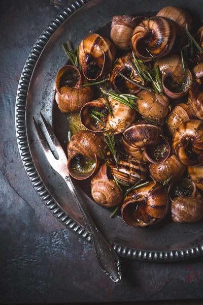 Weinrote Schnecken mit Rosmarin auf dem steinernen Hintergrund — Stockfoto