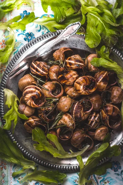 Burgundy snails with salad  on the napkin pattern background top view — Stock Photo, Image