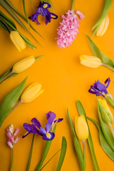 Flores coloridas no fundo amarelo vertical — Fotografia de Stock