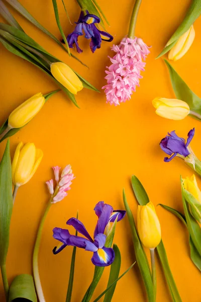 Quadro de tulipas, íris em um fundo amarelo — Fotografia de Stock