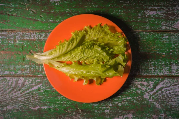 Hoja de ensalada verde fresca sobre fondo verde — Foto de Stock