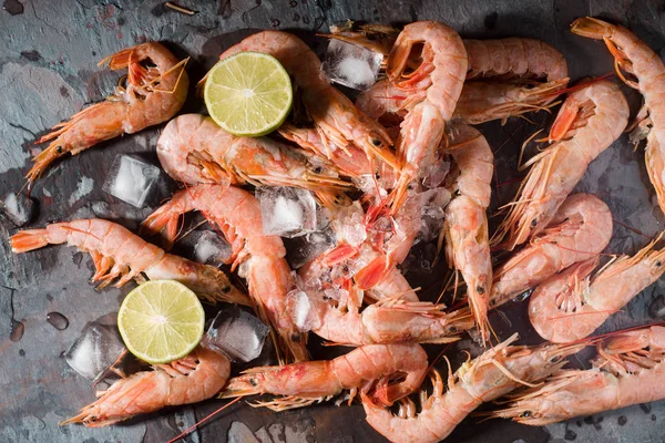 Fresh shrimps served on a gray slate with lime and ice — Stock Photo, Image