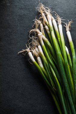 Çiftçiler üzerinde gri kayrak sağdan yay.