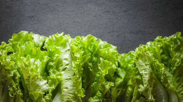 Yeşil salata yaprakları gri kayrak üzerine — Stok fotoğraf