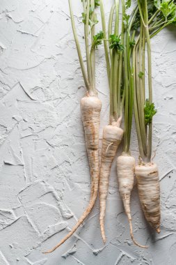 taze maydanoz kökü yaprak beyaz zemin üzerine