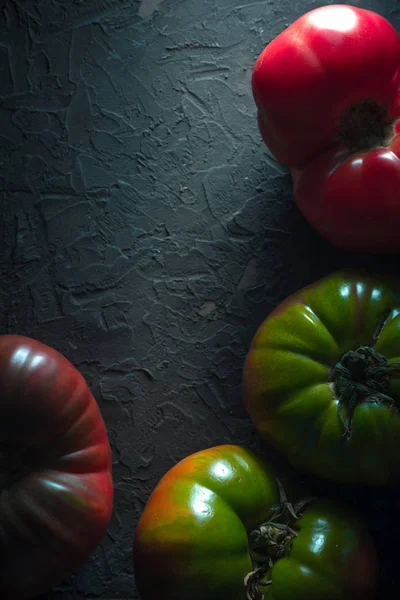 Tomates multicolores sobre un semicírculo de fondo gris — Foto de Stock