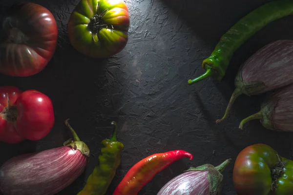 Chili, çok renkli domates ve patlıcan bir gri tablosudur boş alan üzerinde çerçeve