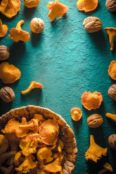 Ram av kantareller och valnötter på ett ljust turkost bord — Stockfoto