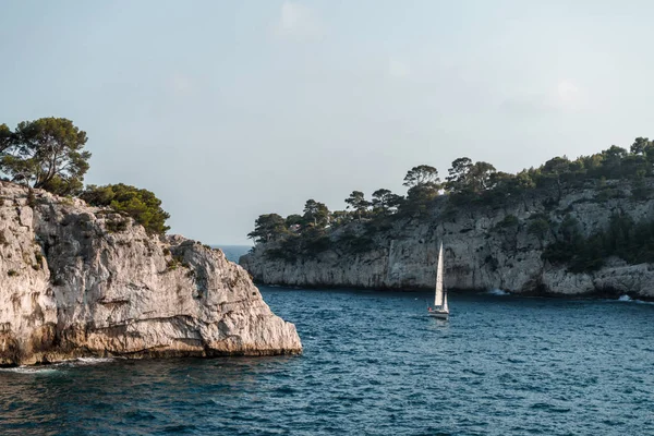Rock, sea, trees and sailboat of Provence — Stock Photo, Image