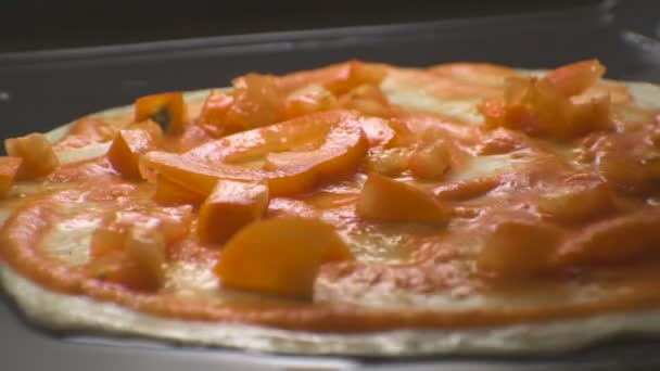 Masa fina, pasta de tomate y rodajas de tomate. Vídeo — Vídeos de Stock