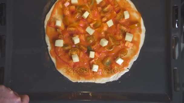 Stendere la pizza Margarita cruda su una teglia da forno. Video. — Video Stock