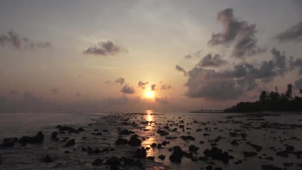 Sonnenuntergang über dem indischen Ozean, Riffe bei Ebbe. Malediven-Video — Stockvideo