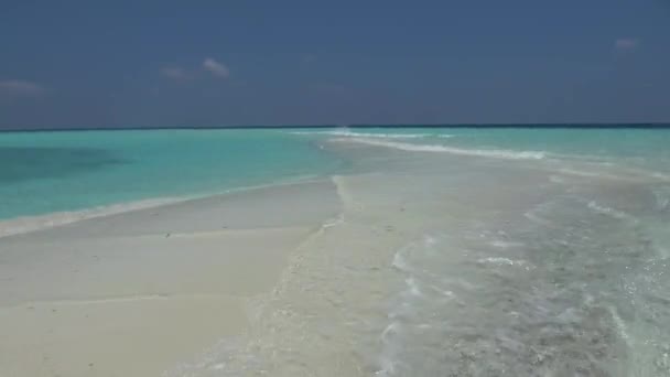 Cuspo de turfa no Oceano Índico. Maldivas vídeo — Vídeo de Stock
