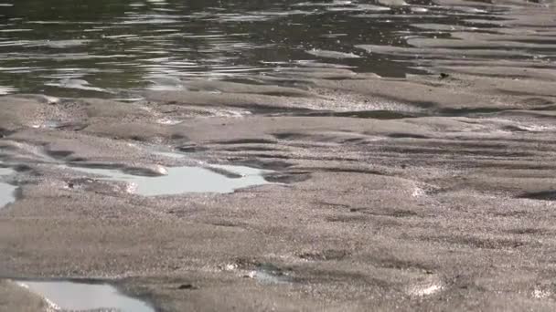 Rivage sablonneux et vagues dans l'océan Indien. Maldives vidéo — Video