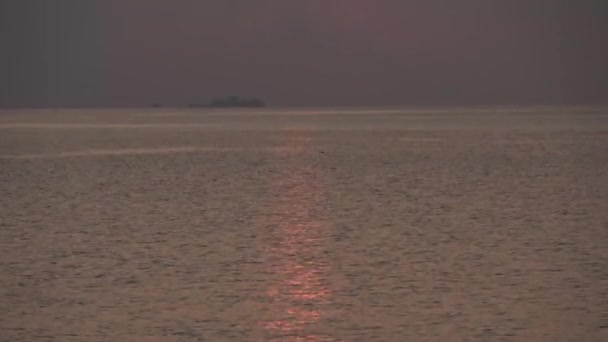 Indische Oceaan, zonsondergang en ray. Maldiven video — Stockvideo