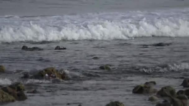 Recifes, surf e barco no oceano. Maldivas vídeo closeup — Vídeo de Stock