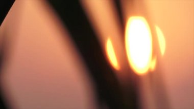 Palmiye karşı batan güneşin bırakır. Maldivler video bulanıklık