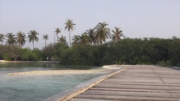 Puente y playa, palmeras y arbustos. Maldivas video — Vídeo de stock