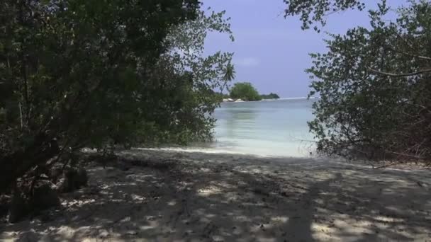 Pláž a stromy na břehu Indického oceánu. Maledivy video — Stock video