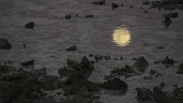 Відображення місяця у воді. Індійський океан відео — стокове відео
