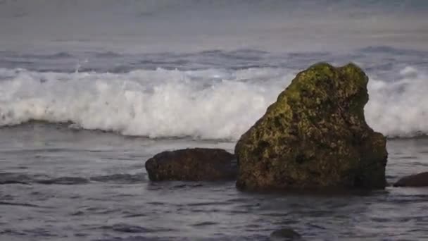 Sten och vågor utanför kusten av Indiska oceanen. Maldiverna video — Stockvideo