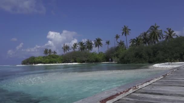 明るい青空の背景にインドの海、橋やヤシの木。モルディブ映像 — ストック動画