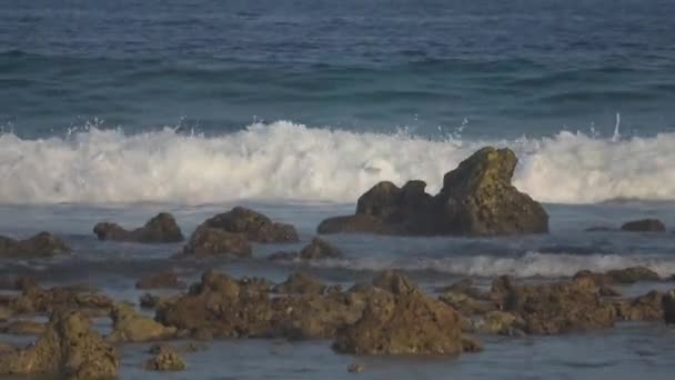 Récifs sous-marins, marées. Océan Indien vidéo — Video