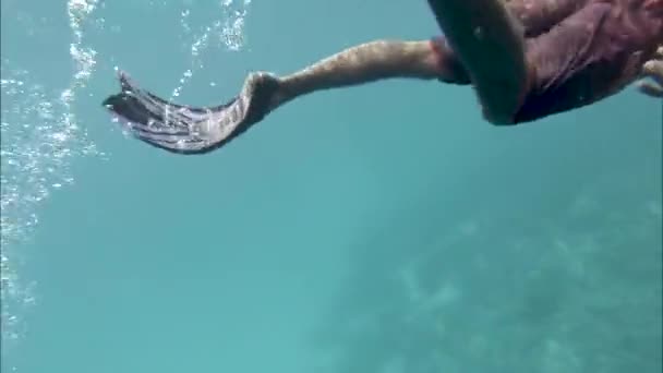 Buceo, arrecifes y buzos. Océano Índico video primer plano — Vídeo de stock