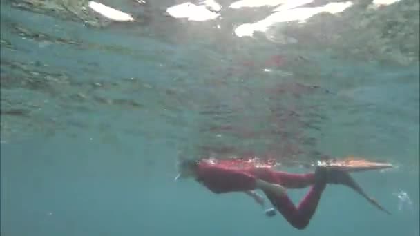 La mujer flota bajo el agua. Océano Índico video primer plano — Vídeos de Stock