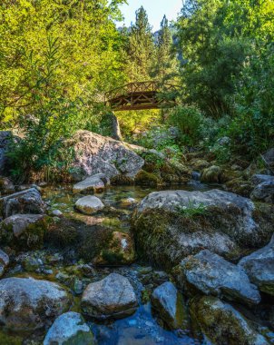 Yunanistan 'daki ağaçların arka planındaki nehir ve köprü