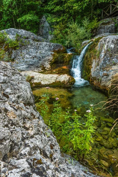 Wasserfall und Blumen auf dem Hintergrund von Steinen — Stockfoto