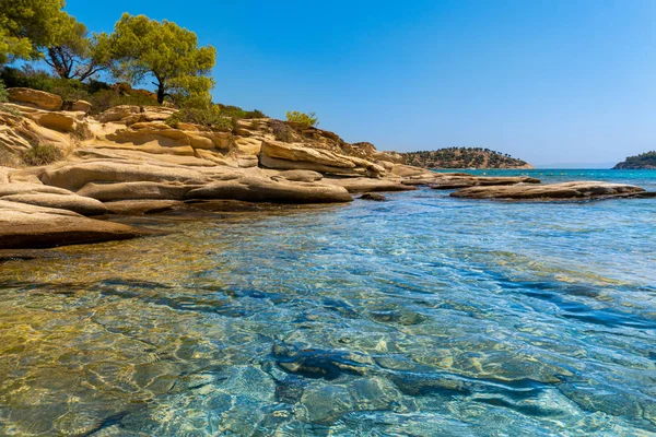 Trees growing on rocks and sea in Greece — Stock Photo, Image