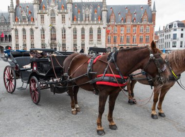 at arabası thr Brugge Belediye Binası önünde