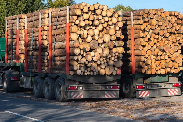 Trucks loaded with tree trunks along the roadside in front of a