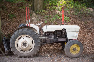 Ağaçların altında ormanda terkedilmiş beyaz traktör