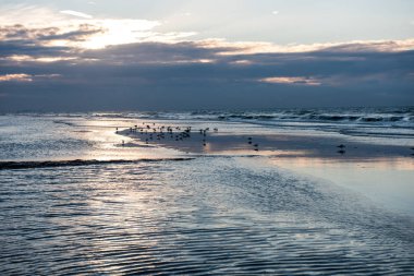 Günbatımı ile sahilde yansımasıdır Koksijde, Belçika
