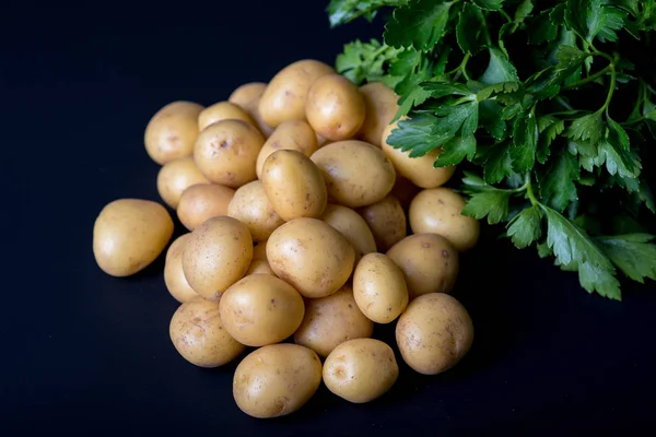 Fresh triplets and frizzy parsley on black background — Stock Photo, Image