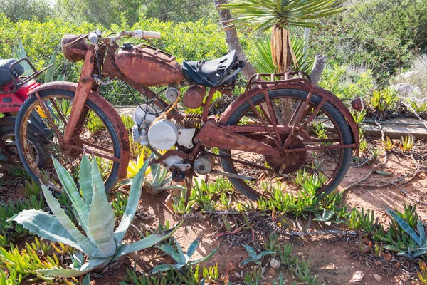 Palmiye ağaçları ve kaktüsler arasında terk edilmiş ve paslı motosiklet