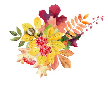 el boyalı suluboya mockup clipart şablon / sonbahar yaprakları