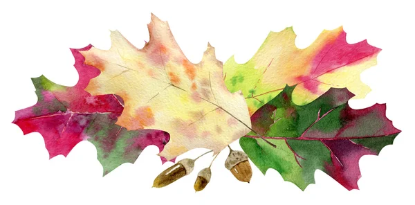 Шаблон осенних листьев, раскрашенных вручную в акварель — стоковое фото
