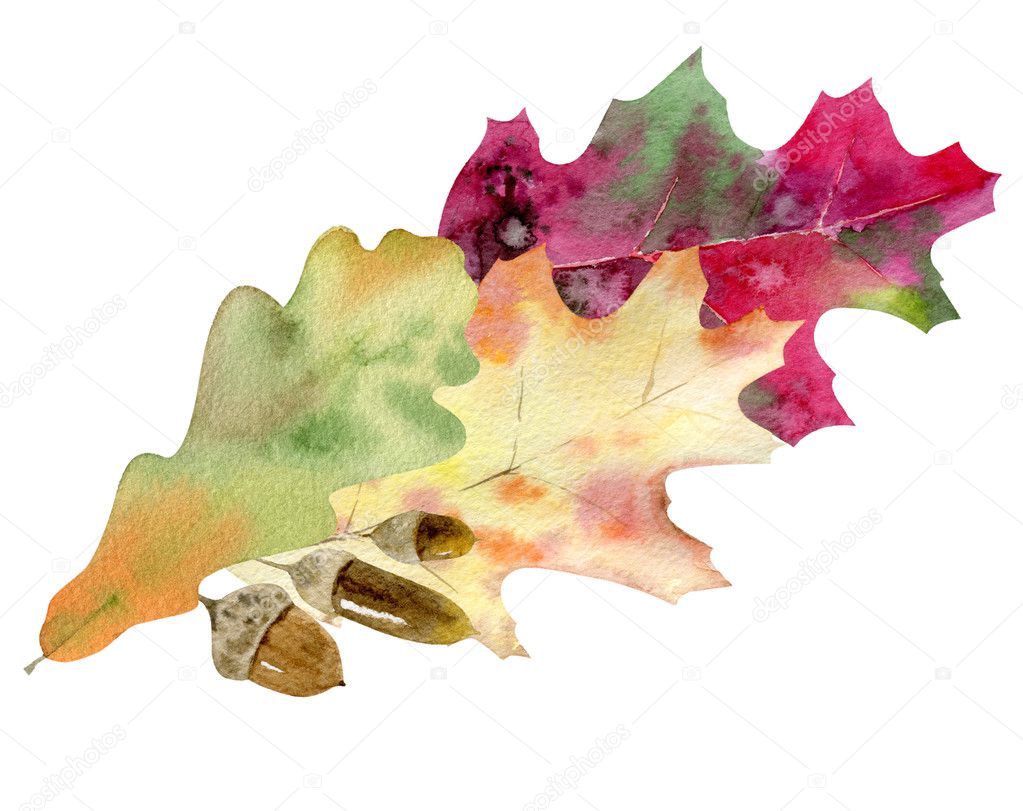 hand painted watercolor mockup clipart template of autumn leves
